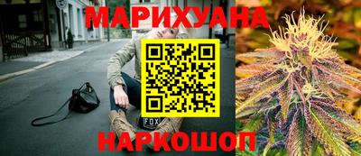 прущие грибы Усть-Илимск